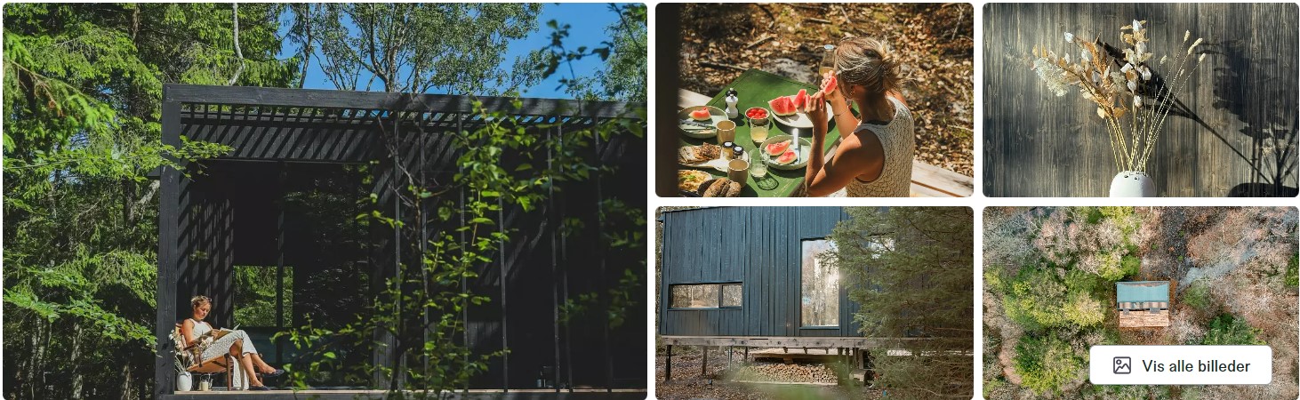 japanese wood house glamping