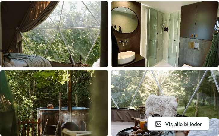 bøgebjerg dome kuppeltelt glamping 2