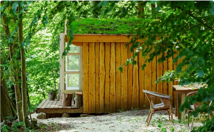 camp purreskoven - glamping i hesselager
