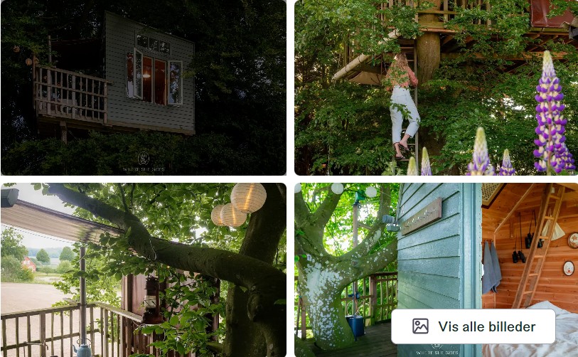 det lille grønne hus - glamping i trætop 2
