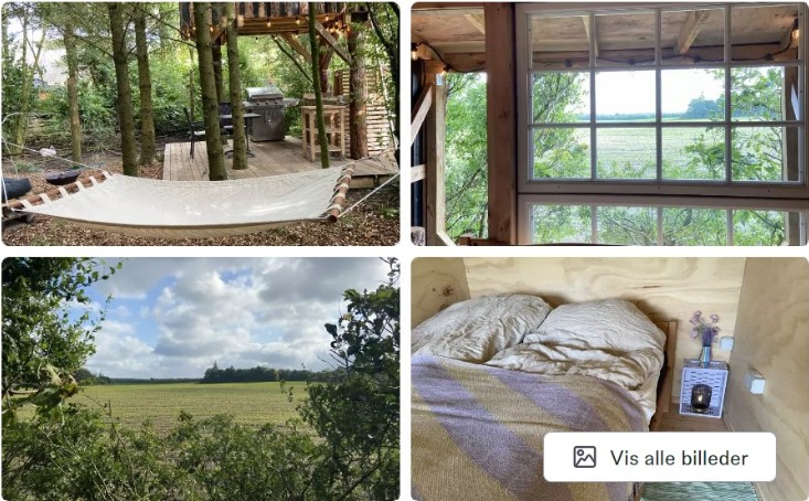 glamping i trætophus 2