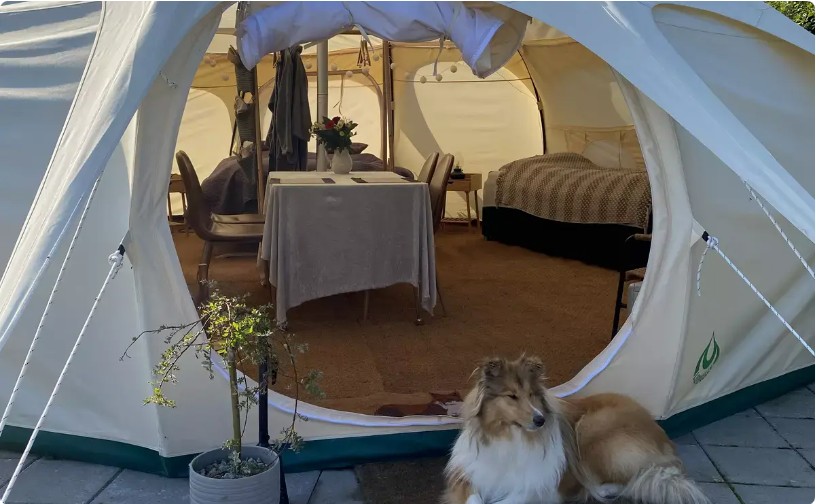 glampingtelt med vildmarksbad i brønderslev 1