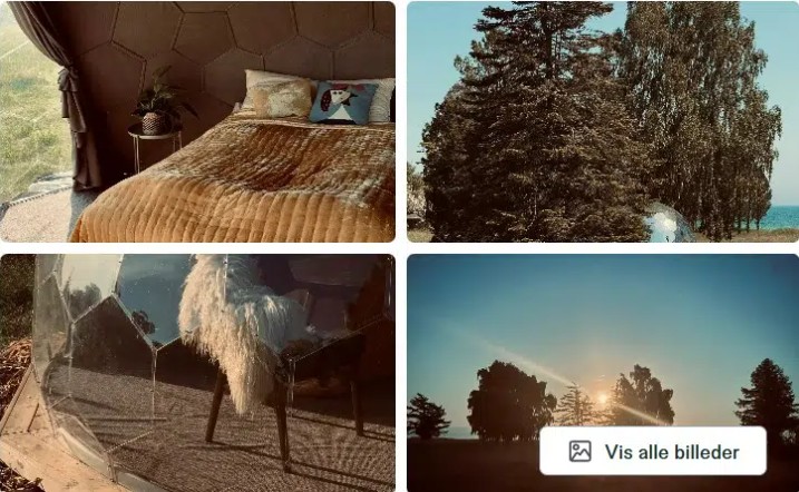 in good hands dark sky - kuppeltelt - glamping 2