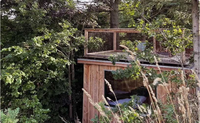 luksus shelter - ådalshytte - glamping 1