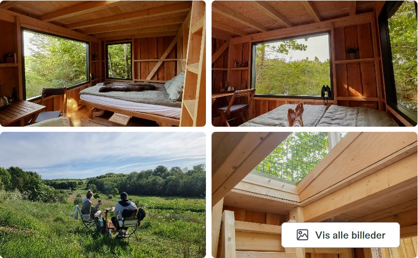 luksus shelter - ådalshytte - glamping 2