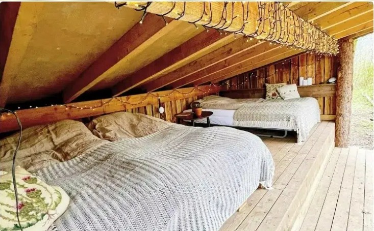 luksus shelter - glamping 1