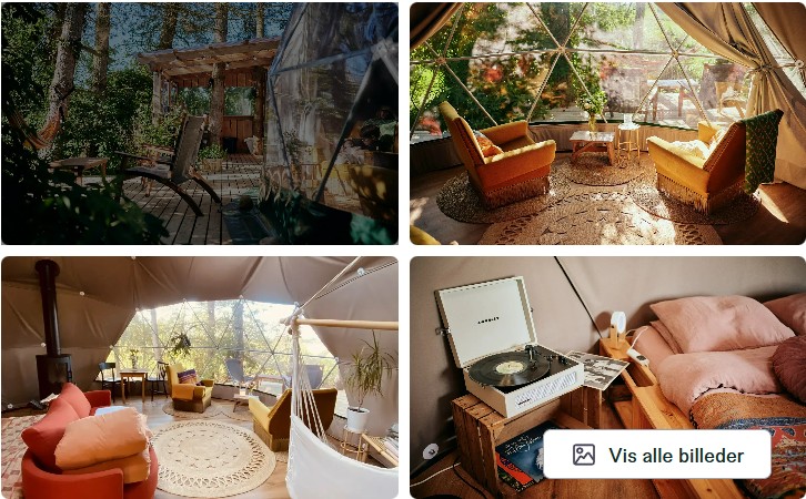 tiki star dome - kuppel glamping 2