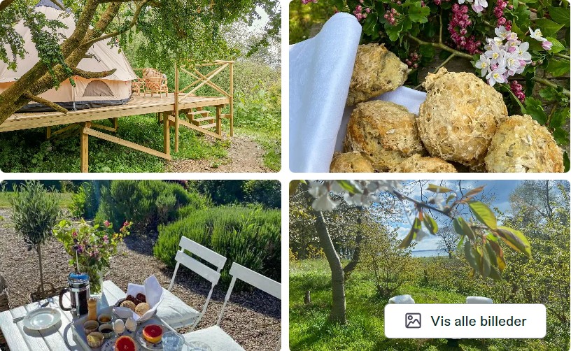 tipi nattergaleskjulet hos villa skovly - glamping 2