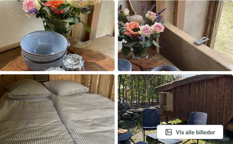 Træshelter med hund