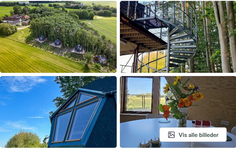 kæledyrsvenlig hytte