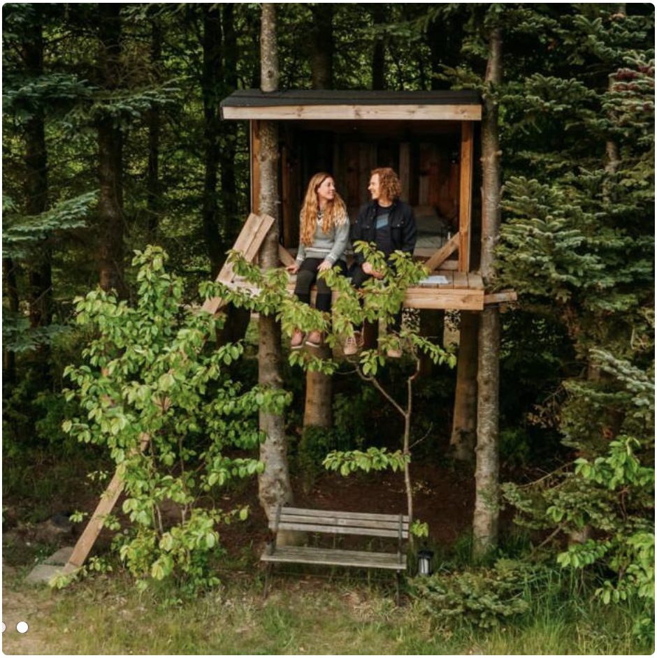 Luksus trætopshelter