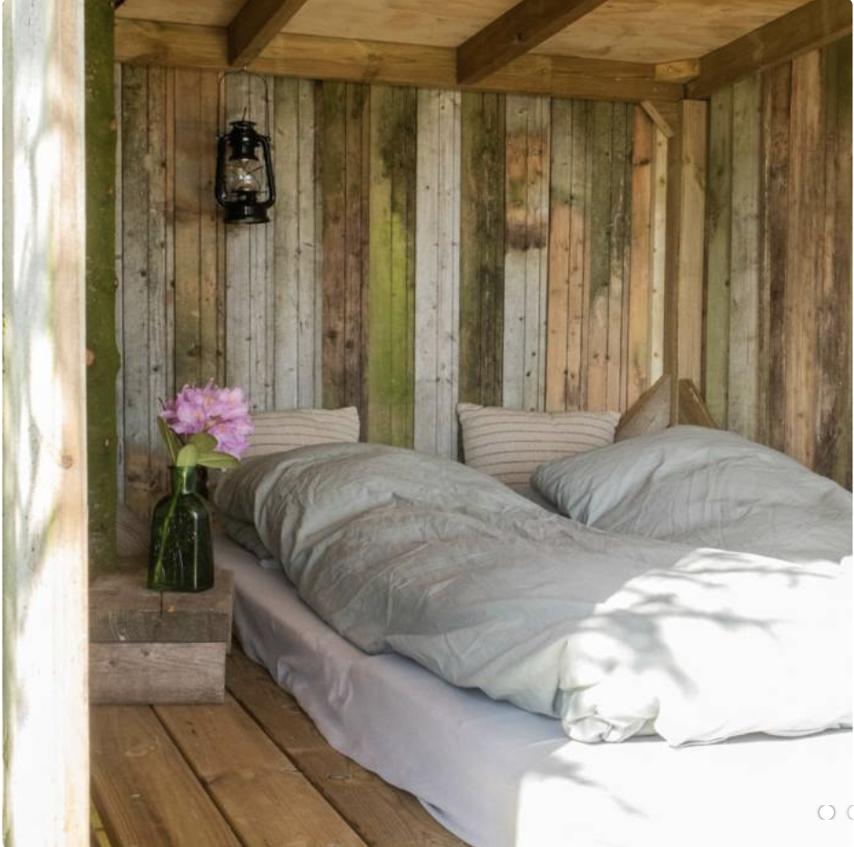 Holmely luksus shelter i trætop