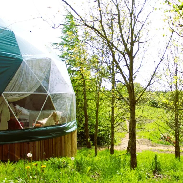 Bøgebjerg dome i grøn natur
